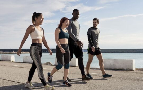 The cardiovascular wellness