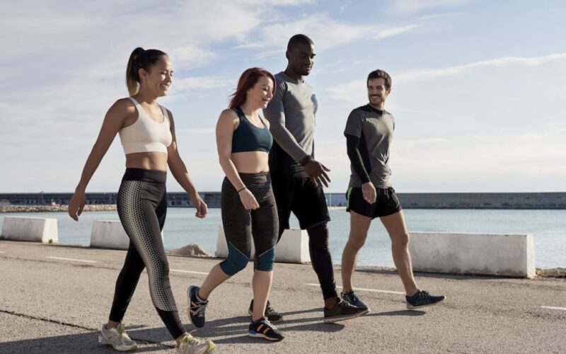 The cardiovascular wellness