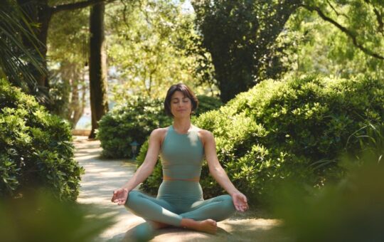 Weight loss supplements