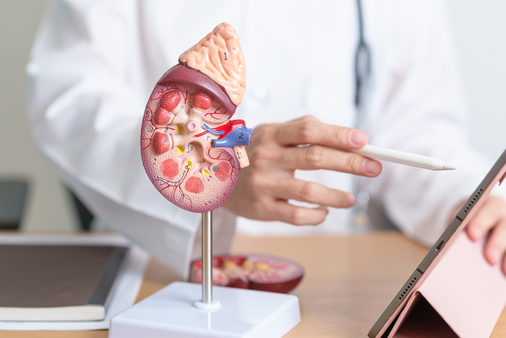 chronic kidney disease