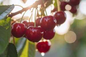 best fruit for inflammation