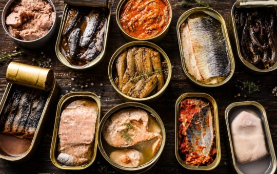 Healthiest canned fish options