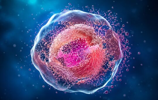 Apoptosis healthy agein